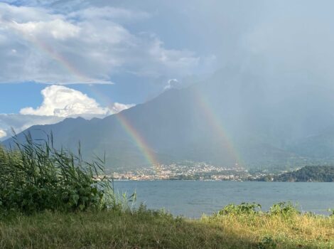Verdevivo un progetto didattico Nature-based