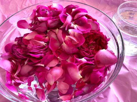 L’arte romantica e semplice dell’autoproduzione: l’acqua di rose