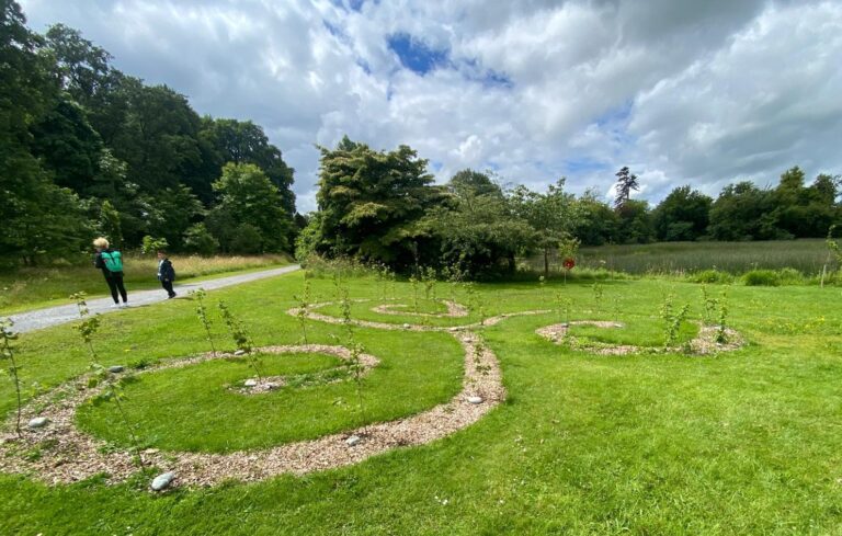 Hai mai sentito parlare di pacciamatura o di mulching?
