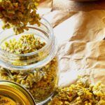 Come preparare gli oleoliti in casa