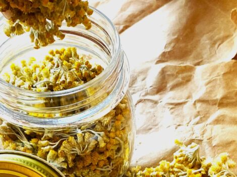 Come preparare gli oleoliti in casa